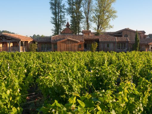 Grand Cru Experience Bordeaux